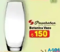 PAŞABAHÇE BOTANİCA VAZO PAŞABAHÇE BOTANİCA VAZO